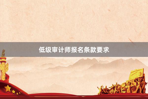 低级审计师报名条款要求