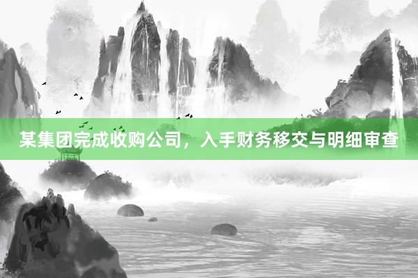 某集团完成收购公司，入手财务移交与明细审查