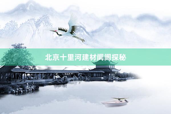 北京十里河建材阛阓探秘