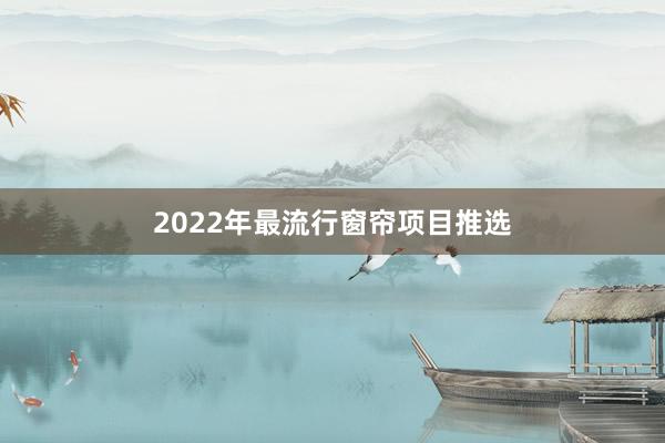 2022年最流行窗帘项目推选