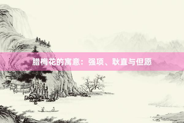 腊梅花的寓意：强项、耿直与但愿