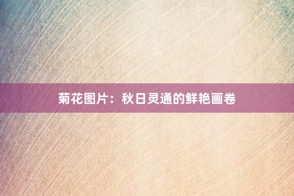 菊花图片：秋日灵通的鲜艳画卷
